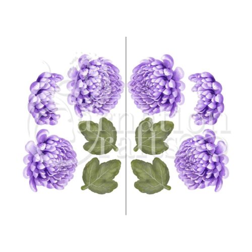 Carnation Crafts Chrysanthemum Vignette Downloads - Vignette 2