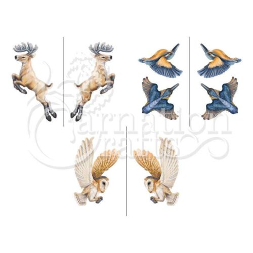 Carnation Crafts Fauna In Motion Collection Original Colourway Download