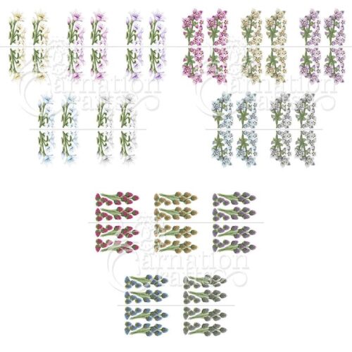 Carnation Crafts Moments In Time Florals Collection Complete Colourway Vignette Download