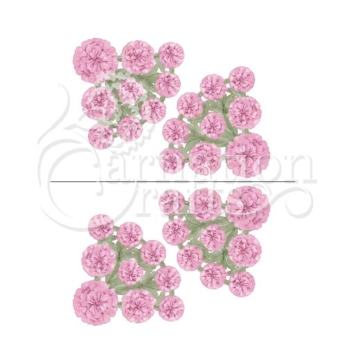 Carnation Crafts Fan-tastic Decoupage Carnation Vignette Perfect Accessories Bonus Download