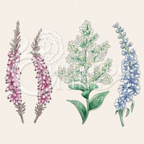 Garden Florals Collection