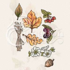 Hedgerow Harvest Die Set