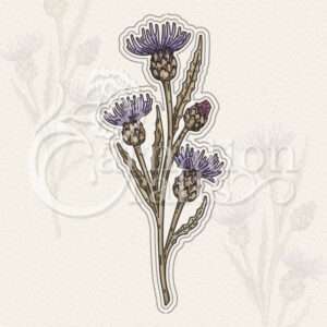 Meadow Thistle Die Set