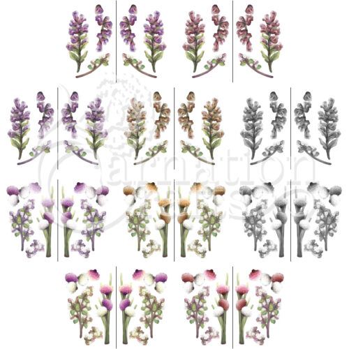 Carnation Crafts From The Herb Garden Vignette Downloads