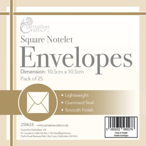 Clean & Simple Square Notelet Envelopes (25pk)