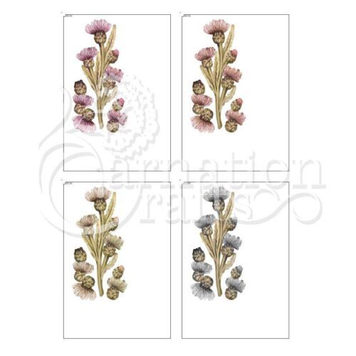 Carnation Crafts Beautiful Calm USB Meadow Thistle Additional Vignette Downloads