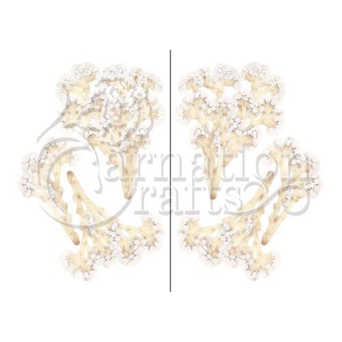 Valentine's Day Special Edition Vignette Gypsophila Image