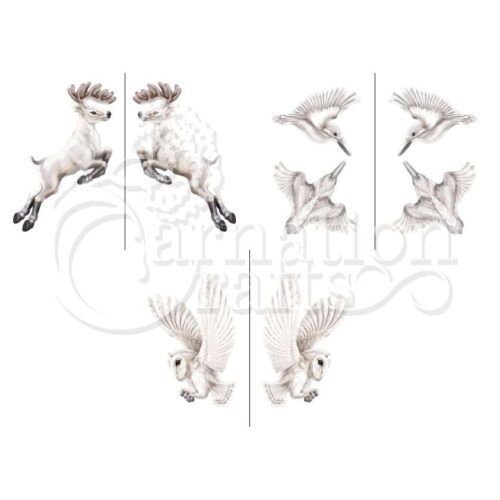 Nature In Motion Wonderful Bonus Vignette Fauna In Motion Collection Image