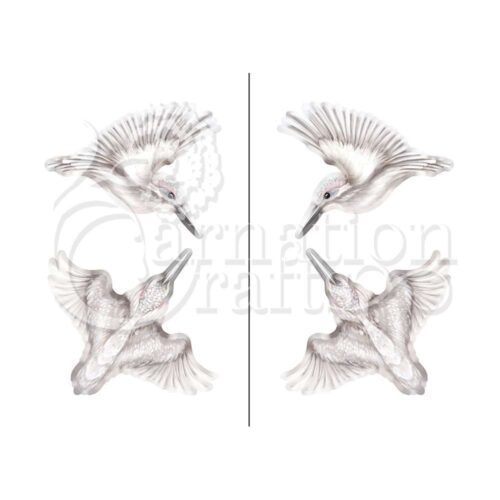 Nature In Motion Wonderful Bonus Vignette Flighted Kingfishers Image