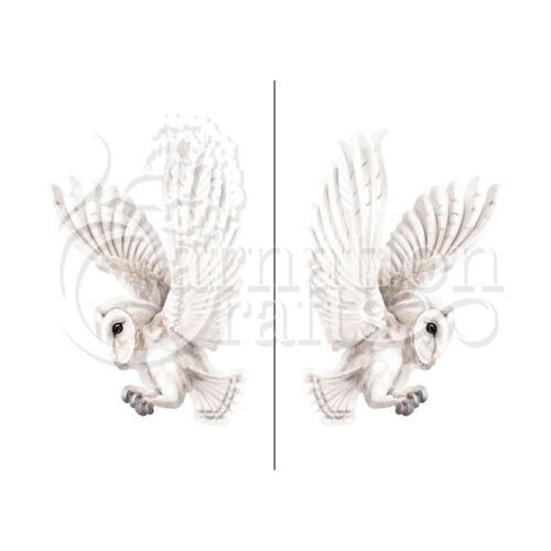 Nature In Motion Wonderful Bonus Vignette Elegant Owl Image