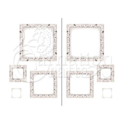 Nature In Motion Wonderful Bonus Vignette Silver Birch Square Image
