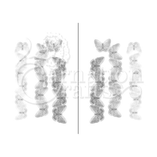 Carnation Crafts Bloom of Butterflies Vignette Downloads - Vignette 5