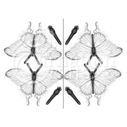 Carnation Crafts Graceful Air Vignette Downloads - Vignette 5