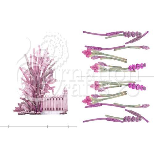 Carnation Crafts Within The Reeds Card Shape Vignette Downloads - Vignette 2