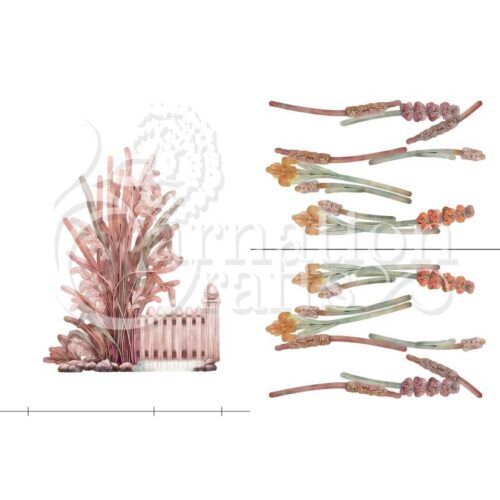 Carnation Crafts Within The Reeds Card Shape Vignette Downloads - Vignette 3