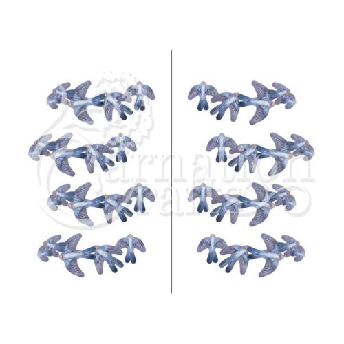 Carnation Crafts Flourish Of Swallows Vignette Downloads - Vignette 1