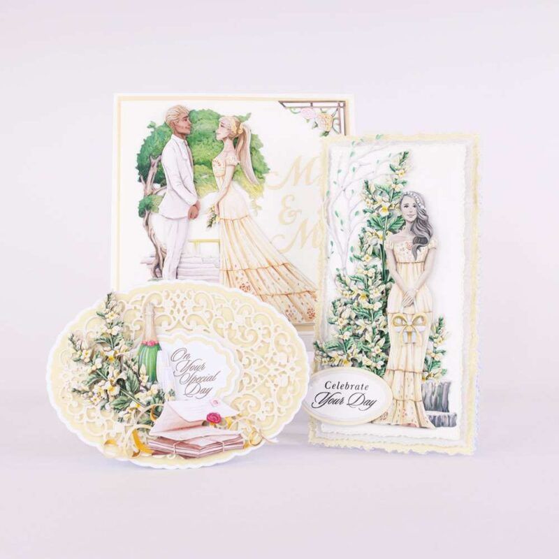 Cards made using Summer Celebrations Special Edition Vignette