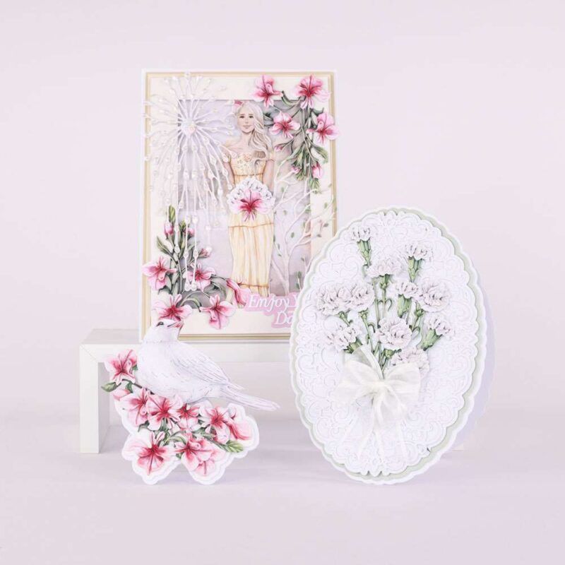 Cards made using Summer Celebrations Special Edition Vignette