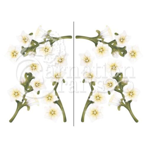 A Little Bit Fancy Summer Blush Bonus Vignette Balloon Flower Image