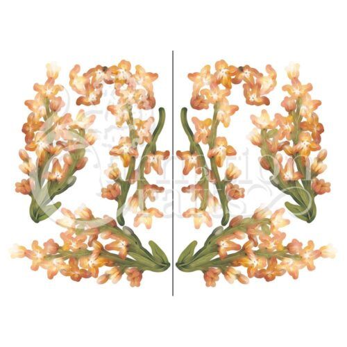 A Little Bit Fancy Summer Blush Bonus Vignette Night Scented Stock Image