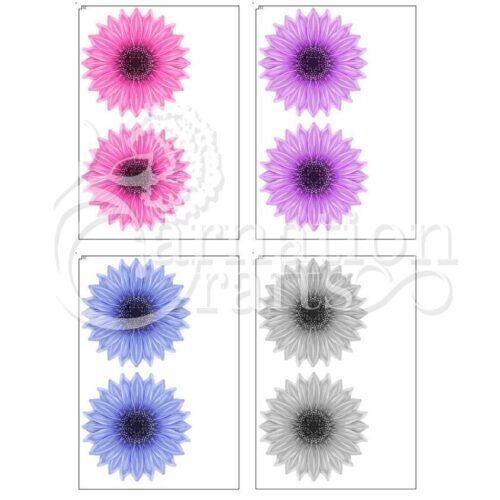 Carnation Crafts Love & Light USB Sunflower Card Shape Additional Vignette Downloads