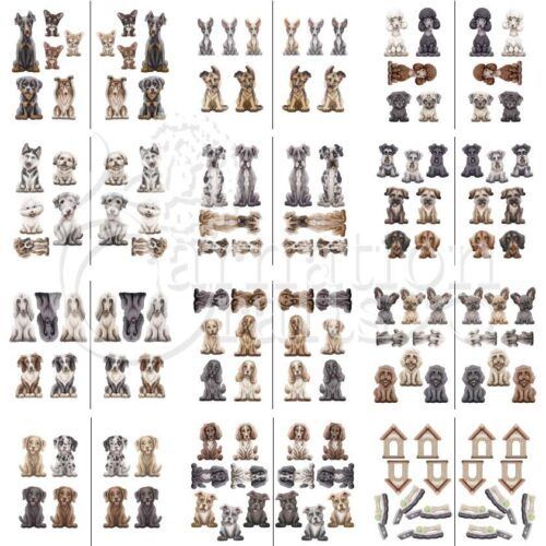everyone's bets friend vignette download product image 1