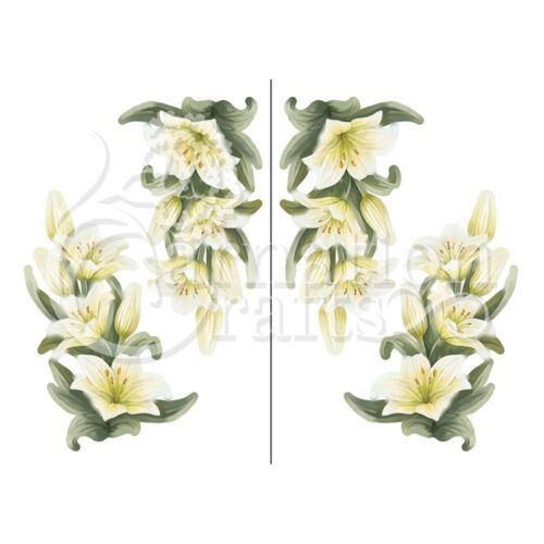 Lily Radiance Vignette 1 Image