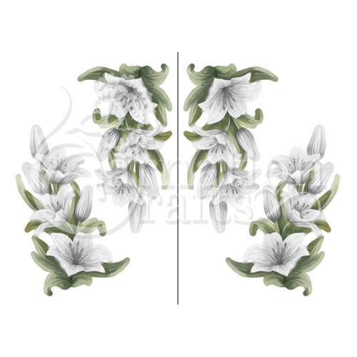 Lily Radiance Vignette 5 Image