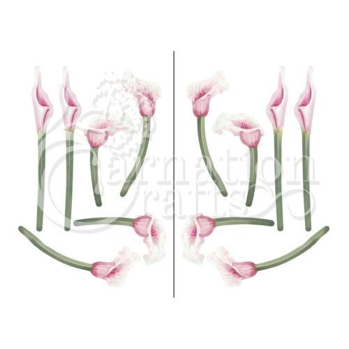 Tranquil Lily Vignette 3 Image