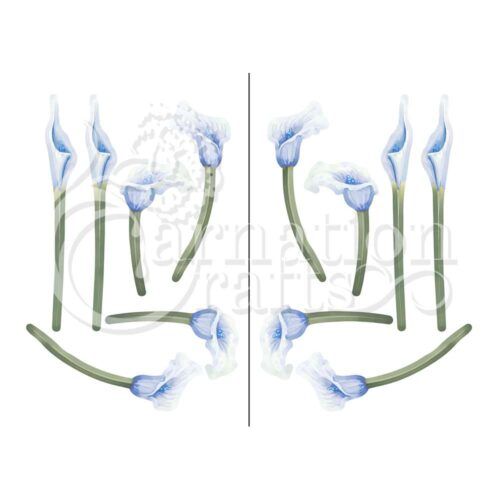 Tranquil Lily Vignette 4 Image
