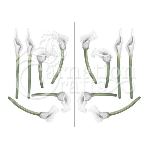 Tranquil Lily Vignette 5 Image