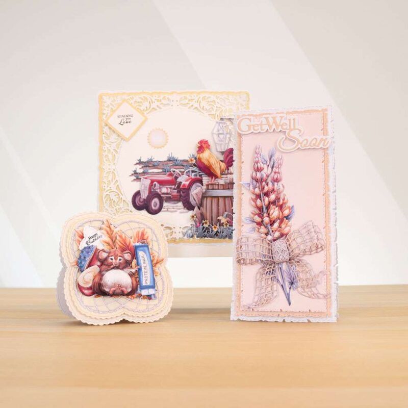 Cards made using Beautifully Brisk Special Edition Vignette