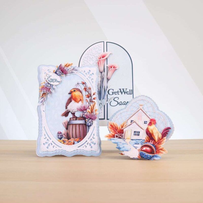 Cards made using Beautifully Brisk Special Edition Vignette