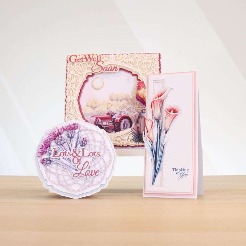 Cards made using Beautifully Brisk Special Edition Vignette