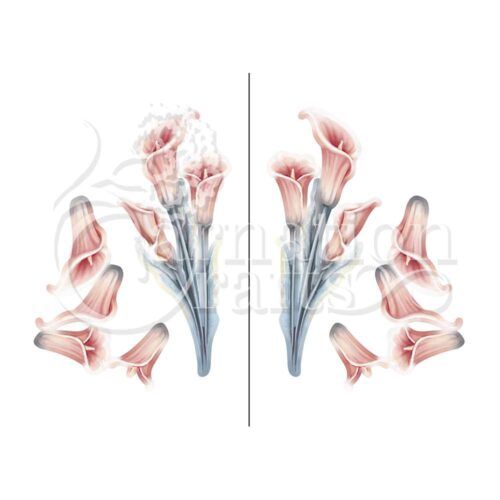 Beautifully Brisk Special Edition Vignette Calla Lily Image