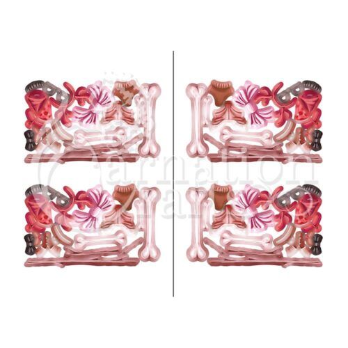 Pawsome Accessories Vignette 3 Image