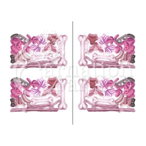 Pawsome Accessories Vignette 4 Image