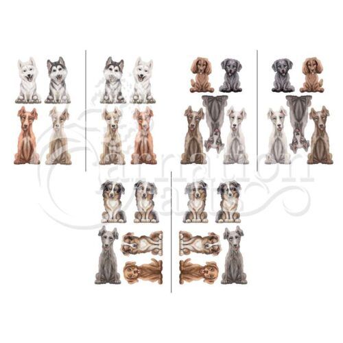 Everyone's Best Friend Extra Breeds Vignette 1 Image