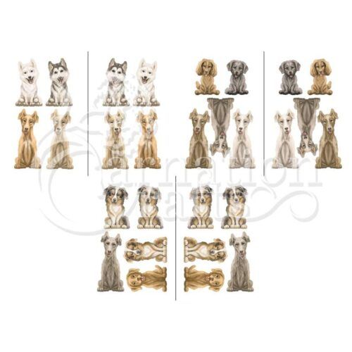 Everyone's Best Friend Extra Breeds Vignette 2 Image