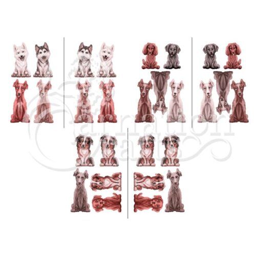 Everyone's Best Friend Extra Breeds Vignette 3 Image
