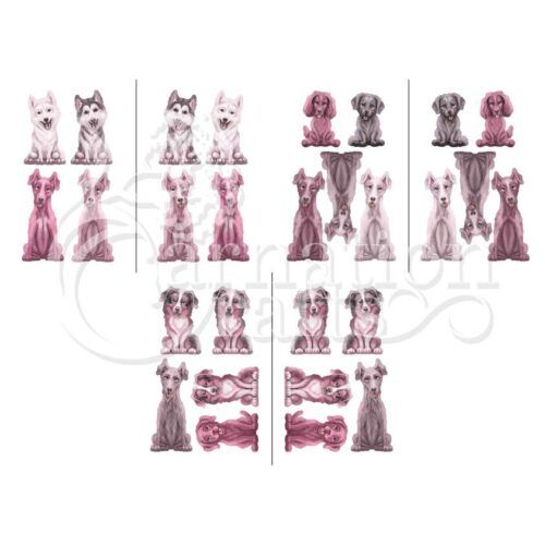 Everyone's Best Friend Extra Breeds Vignette 4 Image
