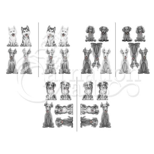 Everyone's Best Friend Extra Breeds Vignette 5 Image