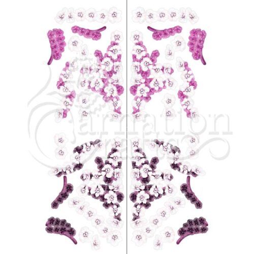 Orchid Rays Card Shape Vignette 3 Image