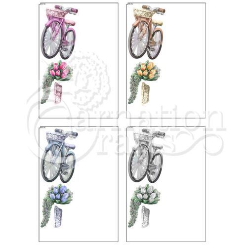 Carnation Crafts Floral Celebration USB Bicycle & Blooms Additional Vignette Downloads