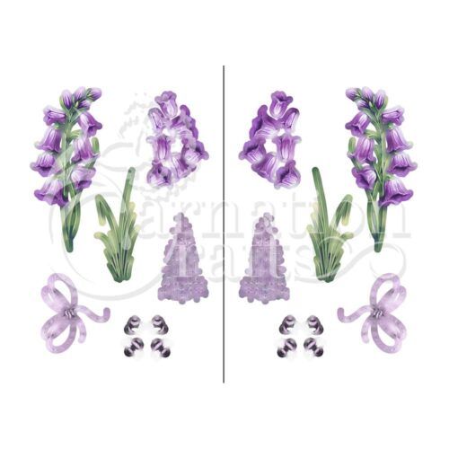Beautiful Bluebells Vignette 3 Image