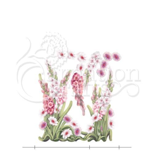 Graceful Gladiolus Vignette 2 Image