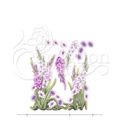 Graceful Gladiolus Vignette 3 Image
