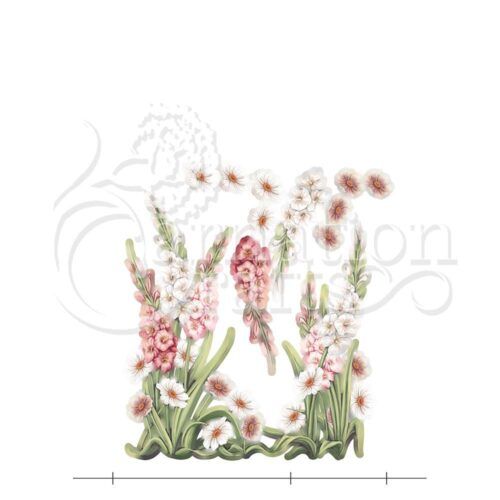 Graceful Gladiolus Vignette 4 Image