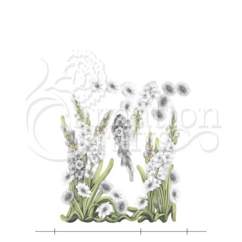 Graceful Gladiolus Vignette 5 Image