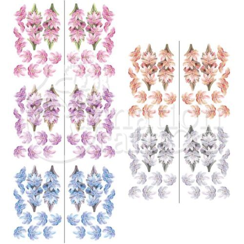 Clean & Simple Radiant Petals Vignette Downloads